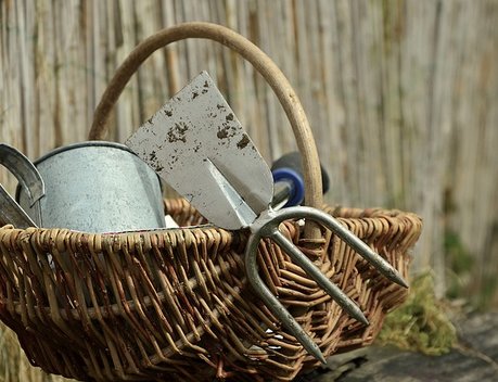 Садоводы Иркутской области получат гранты на развитие инженерной инфраструктуры