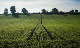 Ставропольским аграриям выплачены субсидии по агрострахованию озимых культур урожая 2022 года