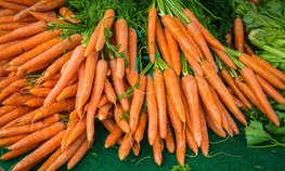 В ЛДПР предложили продавать фермерскую продукцию в автолавках