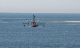 Рыболовецкие предприятия, ведущие промысел в Азовском море, получат поддержку