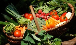 Минсельхоз укрепляет взаимодействие с фермерским движением