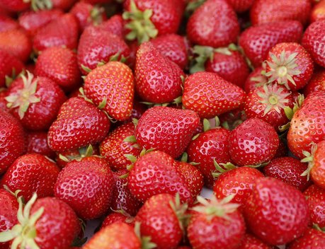 Объявлены лауреаты премии за вклад в развитие российской органической продукции