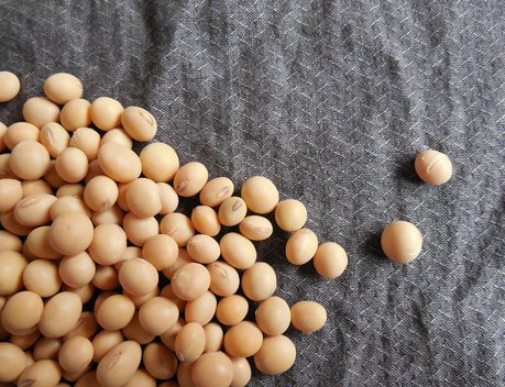 Росстандарт начал работу над стандартизацией продуктов из растительного белка