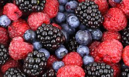 Инвесторы по производству органической сельхозпродукции на Кубани смогут без торгов арендовать земли