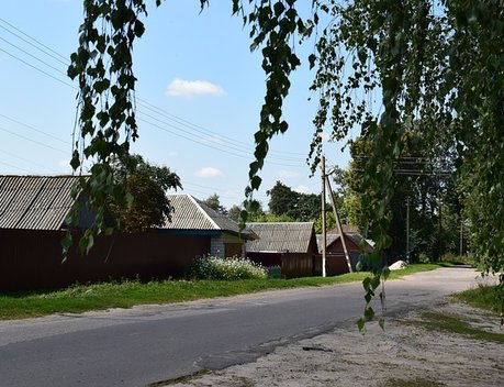 Садоводства Ленинградской области получат более 52 млн рублей на развитие инфраструктуры