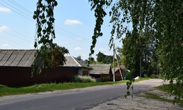 Садоводства Ленинградской области получат более 52 млн рублей на развитие инфраструктуры