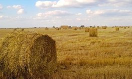 Кредитование сезонных полевых работ увеличилось на 34,9 %
