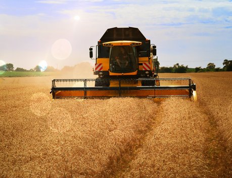 Объем валового сбора зерновых в Казахстане ожидается на уровне 18,3 млн тонн