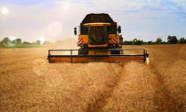 Объем валового сбора зерновых в Казахстане ожидается на уровне 18,3 млн тонн