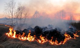 Минсельхоз предложил обязать владельцев земли тушить пожары