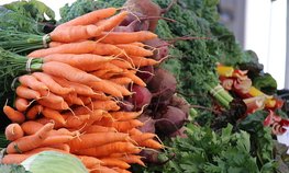 Самозанятые граждане смогут продавать свою продукцию на ярмарках выходного дня
