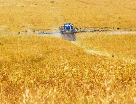 Кредитование сезонных полевых работ увеличилось на 40,1 %