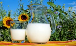 На Кубани растет производство молока