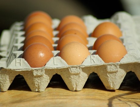 Производители яйца в Забайкалье получили господдержку