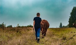 Самозанятым, ведущим личное подсобное хозяйство в Чувашии, перечислили 33,8 млн рублей господдержки