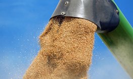 Россия поставила Пакистану 60 тыс. тонн пшеницы
