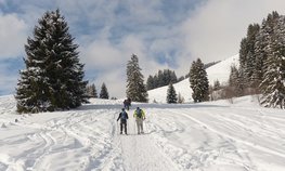 С 16 по 20 марта 2023 года в Вологодской области пройдет финал XI Всероссийских зимних сельских спортивных игр
