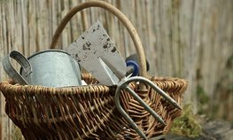 Садовые общества Красноярского края могут получить до 3 млн рублей на дороги, свет и воду