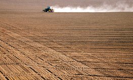 Кредитование сезонных полевых работ увеличилось на 23 %