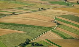 Кредитование сезонных полевых работ увеличилось на 2,7 %