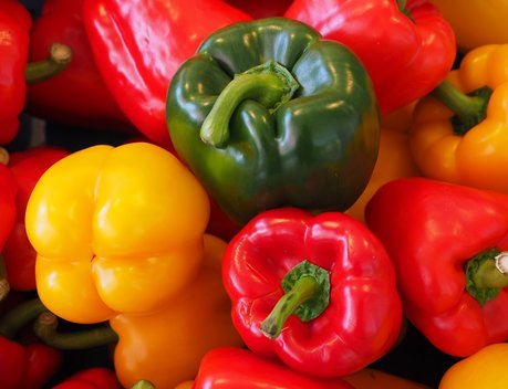 Наносить знаки «эко» и «био» разрешат только на органические продукты