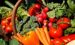 Производство сельхозпродукции за первое полугодие выросло на 2,9 %