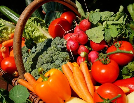 Производство сельхозпродукции за первое полугодие выросло на 2,9 %