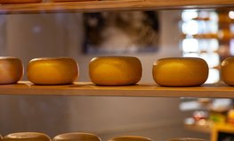 Правительство расширит поддержку экспортеров молочной продукции