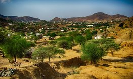 Дипломат сообщил о заинтересованности Эритреи в сотрудничестве с РФ в агросекторе