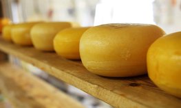 За 9 лет объем производства сыров на территории Республики Крым увеличился вдвое