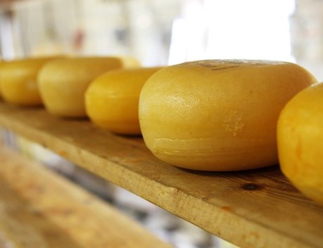 За 9 лет объем производства сыров на территории Республики Крым увеличился вдвое