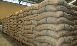 На выставке «Золотая осень» обсудили развитие региональных мер поддержки аграрного экспорта