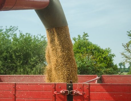 Экспорт продукции АПК в Индонезию с начала года вырос более чем втрое