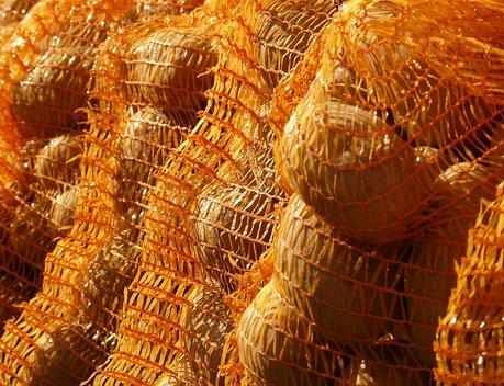 План по производству зерна, картофеля и сахарной свеклы перевыполнен в Нижегородской области