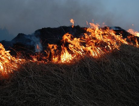 Пострадавшим от природных пожаров владельцам хозяйств Забайкалья компенсировали ущерб