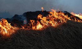 Пострадавшим от природных пожаров владельцам хозяйств Забайкалья компенсировали ущерб