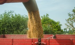 Эксперты отметили рекордный экспорт зерновых из РФ в I половине сельхозгода