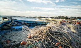 Минфин проработает увеличение субсидирования перевозки рыбы