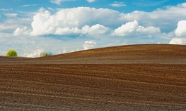 «РСХБ-Страхование» выплатило 14,8 млн рублей агропредприятию Ставропольского края в связи с утратой урожая озимой пшеницы