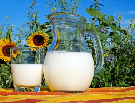 Объем реализации молока в сельхозорганизациях вырос на 3,6 %