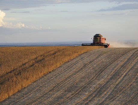 Эффективное вовлечение земель в сельхозоборот обсудили на заседании Совета законодателей РФ