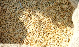 Бурятия поставила в Монголию более 8 тыс. тонн зерна в качестве гуманитарной помощи