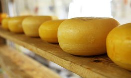 Производство молочной продукции в РФ в I квартале выросло на 7 %