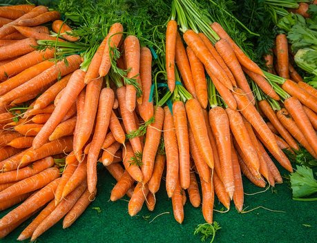 На Камчатку поступила первая партия свежих овощей напрямую из Китая