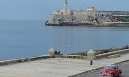 На ПМЭФ–2024 рассмотрели перспективы развития российско-кубинского сотрудничества в сфере АПК