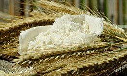 Развитие торговли продукцией АПК между Россий и Египтом обсудили на полях встречи министров сельского хозяйства БРИКС
