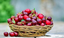 Оксана Лут посетила гастрономический фестиваль «Вкусы России» на ВДНХ