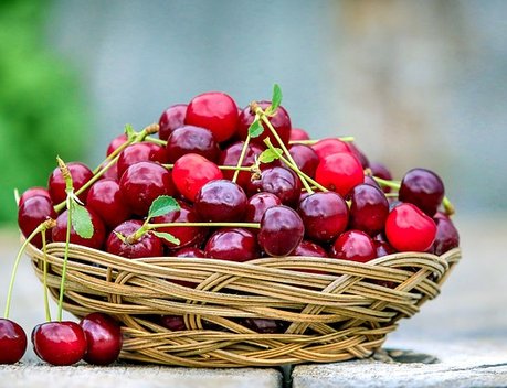 Оксана Лут посетила гастрономический фестиваль «Вкусы России» на ВДНХ