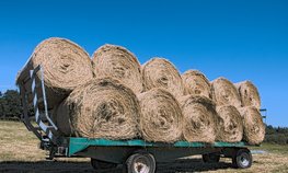 Кредитование сезонных полевых работ увеличилось на 18 %