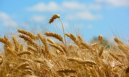 Российско-Саудовский форум GRAS
